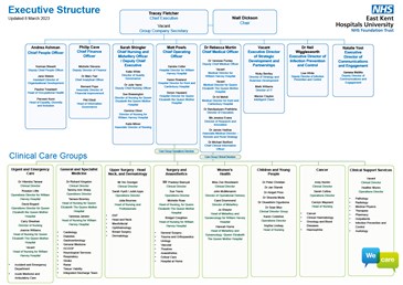 Executive Structure - Organisational Structure