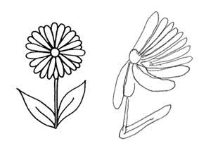 Image of a normal flower and one drawn by a person with hemi-spatial neglect
