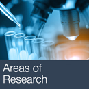 Our Areas of Research