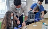Avatar of instruction in suturing techniques. Image shows two young people sitting at a table, with two older students watching on. The young people are attempting suturing stitches and are wearing blue surgical gloves. Everyone is wearing a face mas