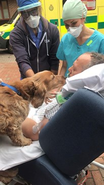 Caramel the dog visiting owner and patient Jim Beverton at the William Harvey Hospital. The photo shows Caramel nose to nose with Jim, who is in a hospital bed. It is taken outside the hospital and two members of staff are looking on.