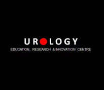 Urology. Education, Research and Innovation 