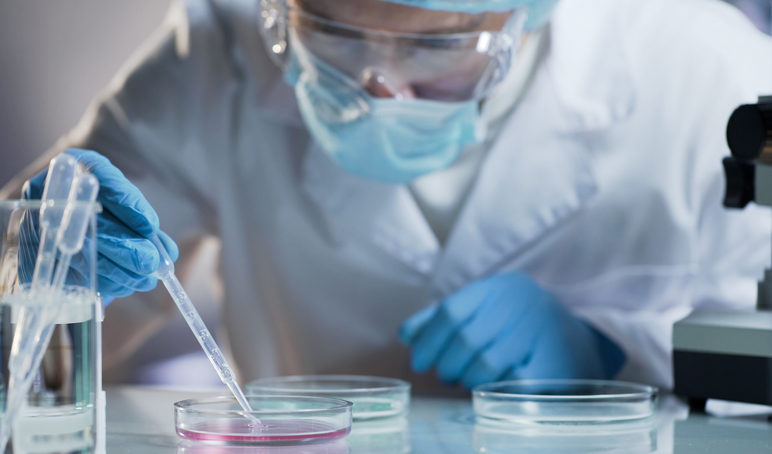 Scientist tests a petri dish
